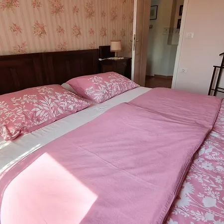 Rustic Polona Appartement *