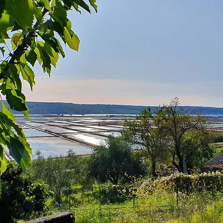Appartement Rustic Polona Portorož